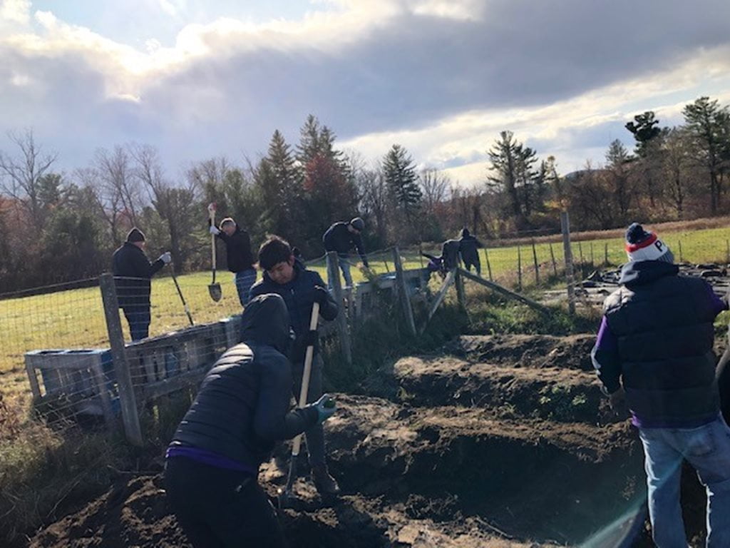 volunteers planting a garden