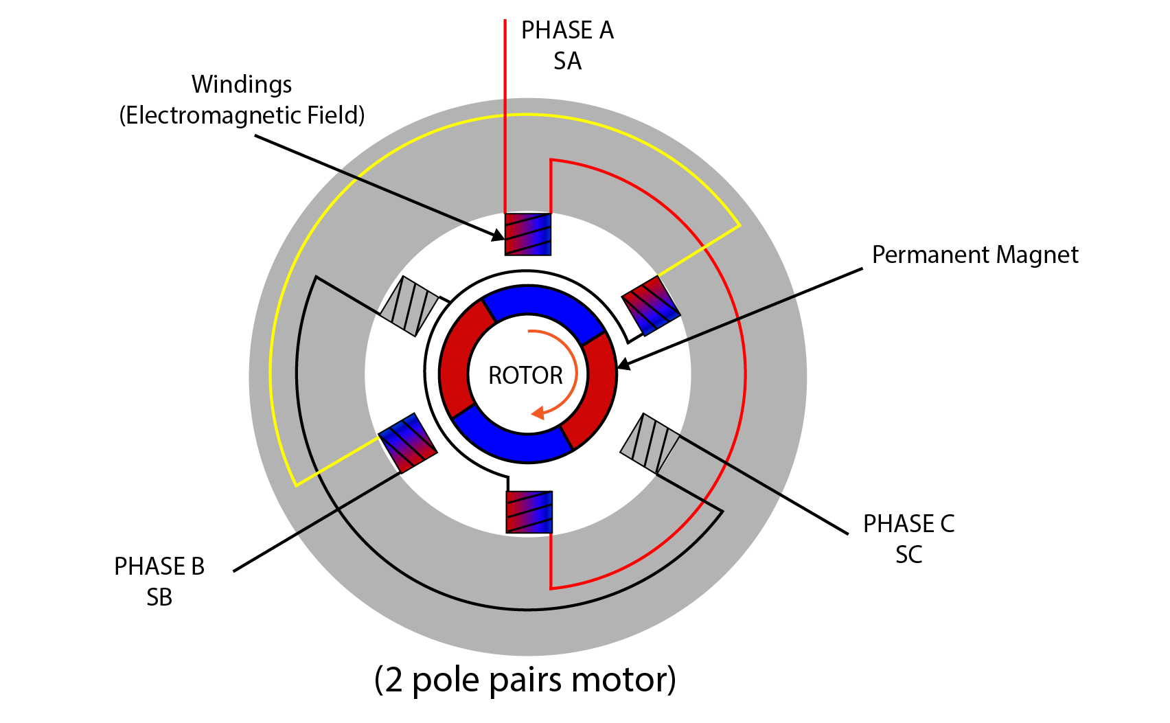 Brushless DC Motor
