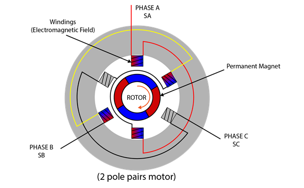 Brushless DC Motor